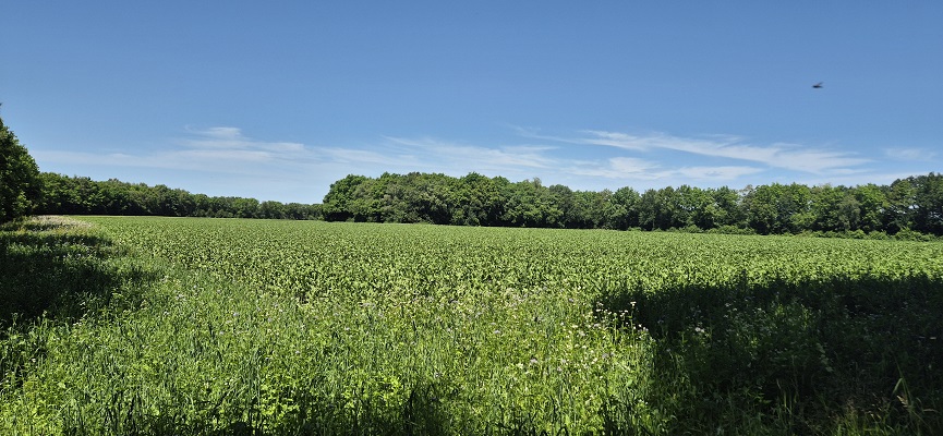 Wandeling over Trage Tocht Orvelte