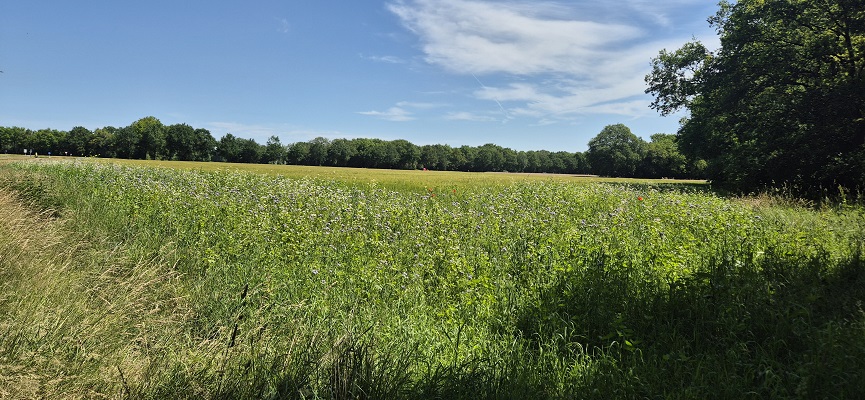 Wandeling over Trage Tocht Orvelte