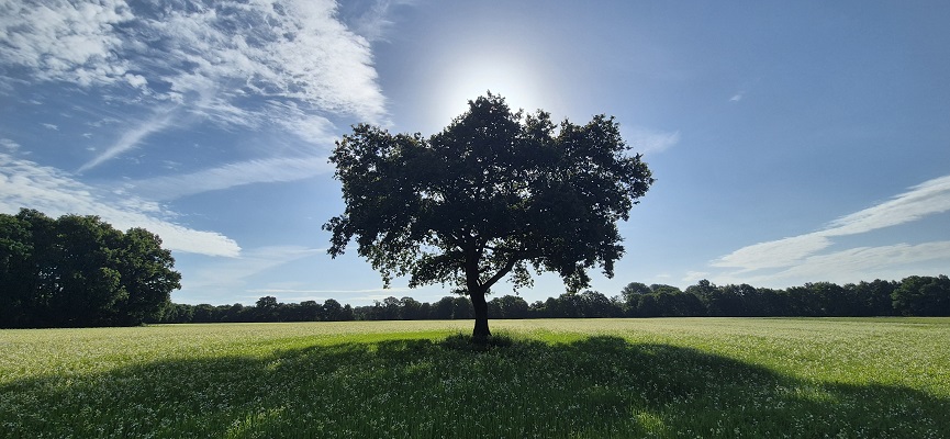 Wandeling over Trage Tocht Orvelte