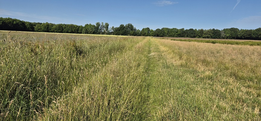 Wandeling over Trage Tocht Orvelte