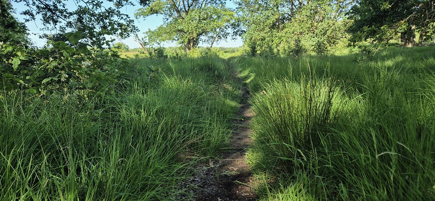 Wandeling over Trage Tocht Orvelte