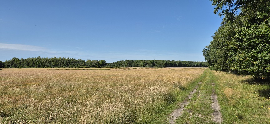 Wandeling over Trage Tocht Orvelte