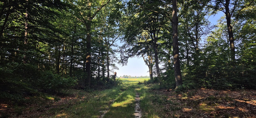 Wandeling over Trage Tocht Sleenerzand
