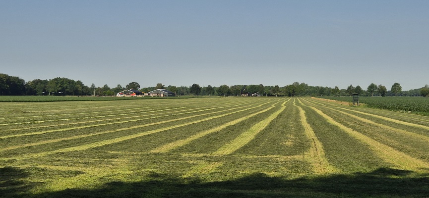Wandeling over Trage Tocht Sleenerzand