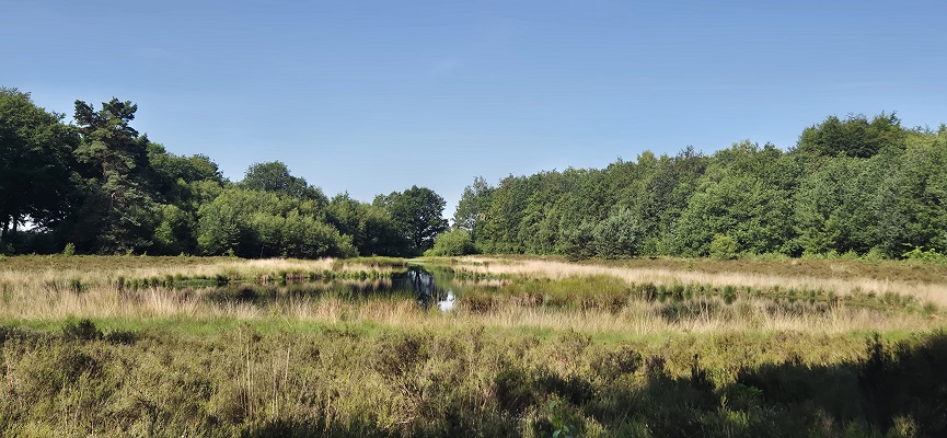 Wandeling over Trage Tocht Sleenerzand