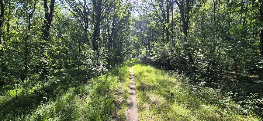 Wandeling over Trage Tocht Sleenerzand