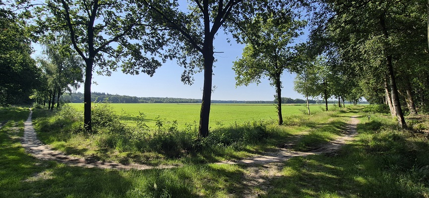 Wandeling over Trage Tocht Sleenerzand