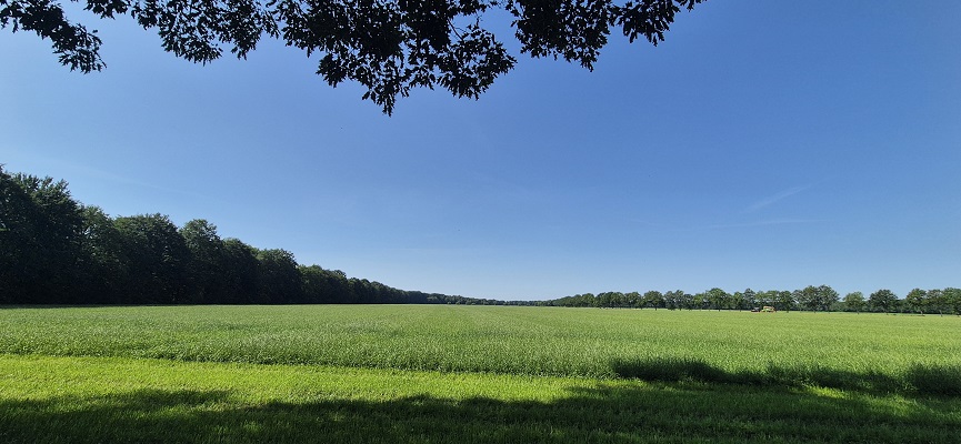 Wandeling over Trage Tocht Sleenerzand