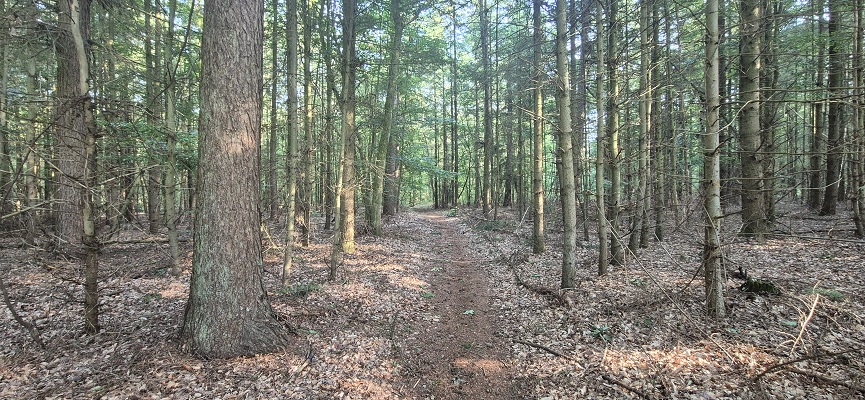Wandeling over Trage Tocht Sleenerzand