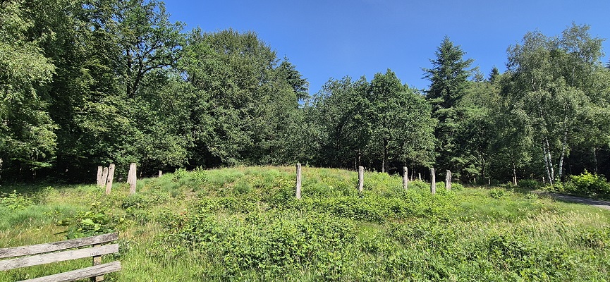 Wandeling over Trage Tocht Sleenerzand bij het grafheuvelveld Galgenberg