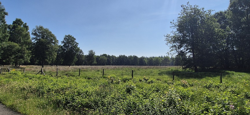 Wandeling over Trage Tocht Sleenerzand bij het grafheuvelveld Galgenberg