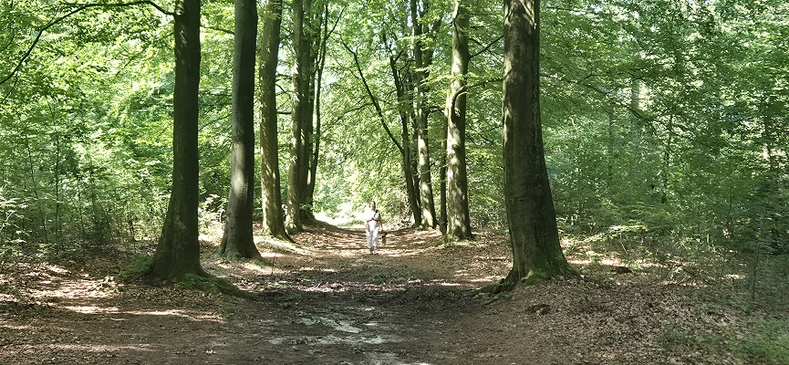 Wandeling over Trage Tocht Sleenerzand
