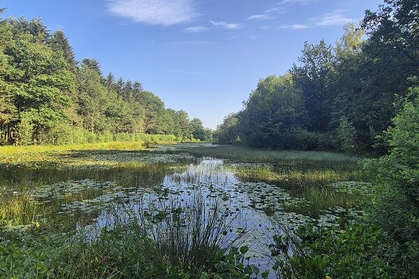 Wandeling over Trage Tocht Sleenerzand