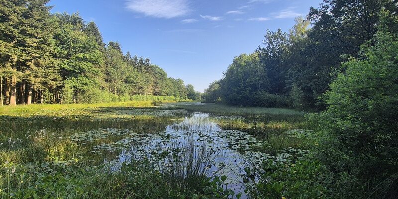 Wandeling over Trage Tocht Sleenerzand