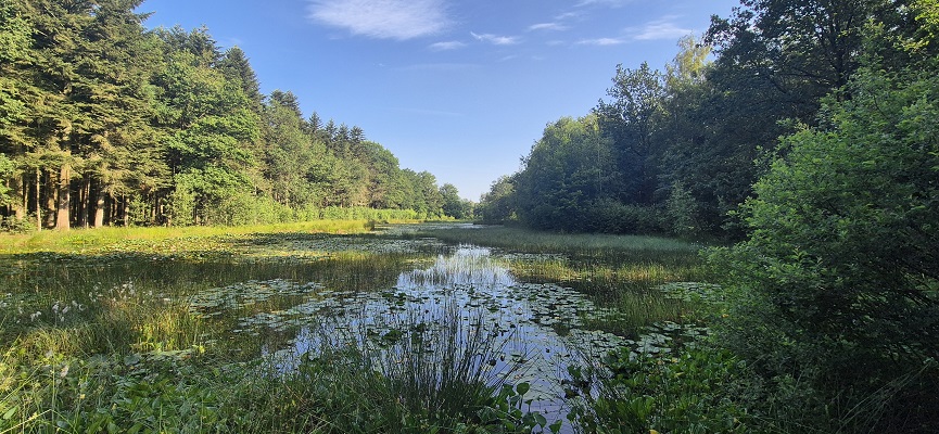 Wandeling over Trage Tocht Sleenerzand