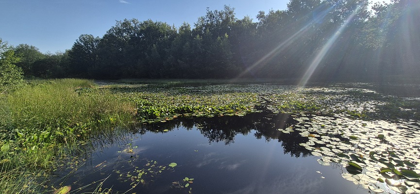 Wandeling over Trage Tocht Sleenerzand