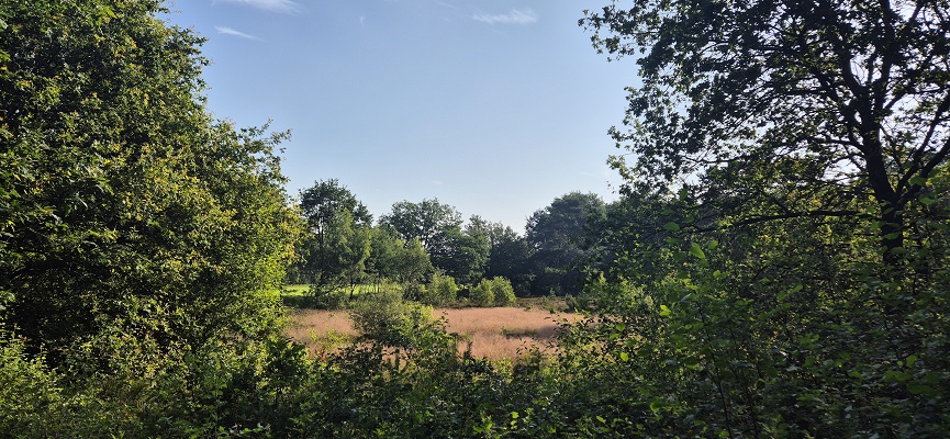 Wandeling over Trage Tocht Sleenerzand