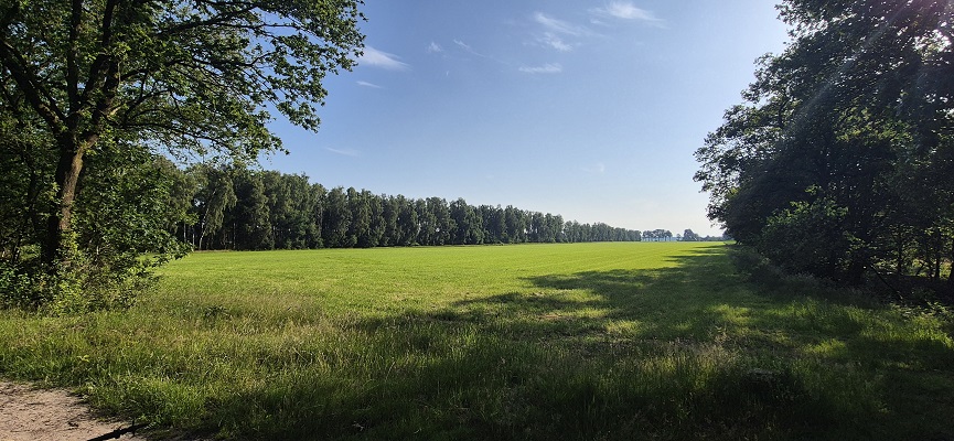 Wandeling over Trage Tocht Sleenerzand