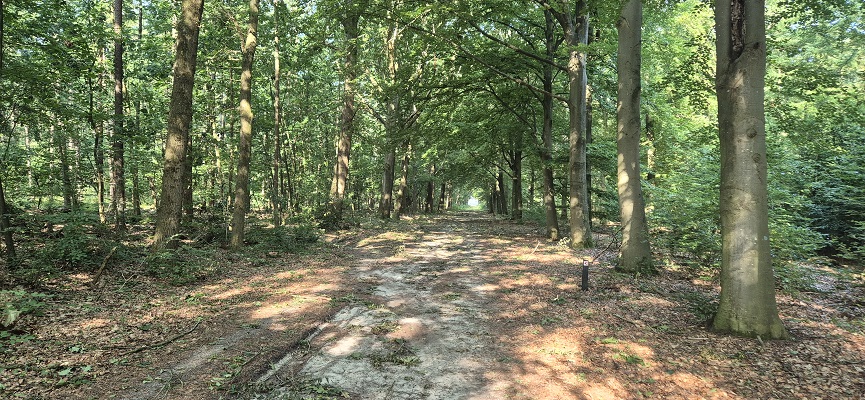 Wandeling over Trage Tocht Sleenerzand