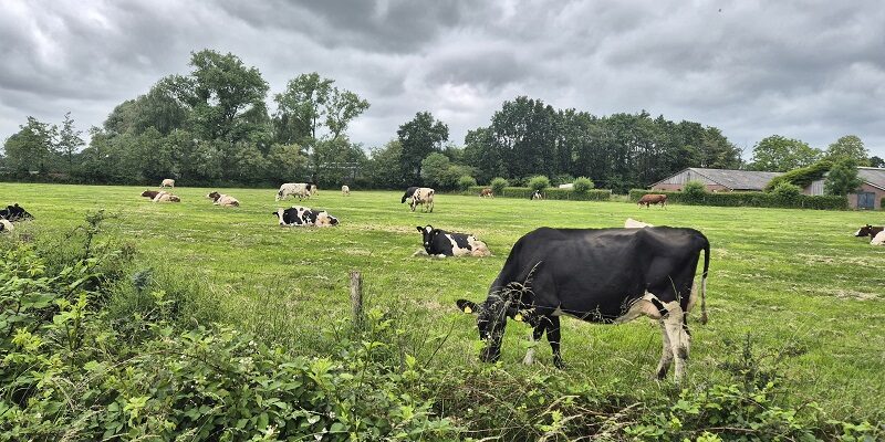 Wandeling over Trage Tocht Veldhoek in de Achterhoek