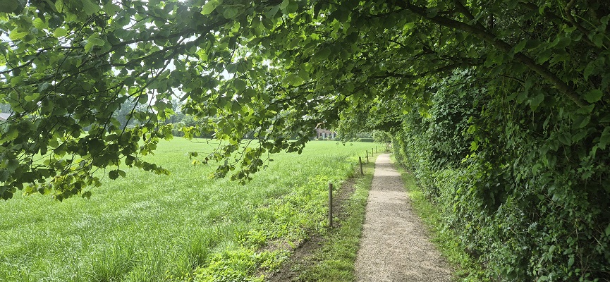Wandeling over Trage Tocht Zieuwent