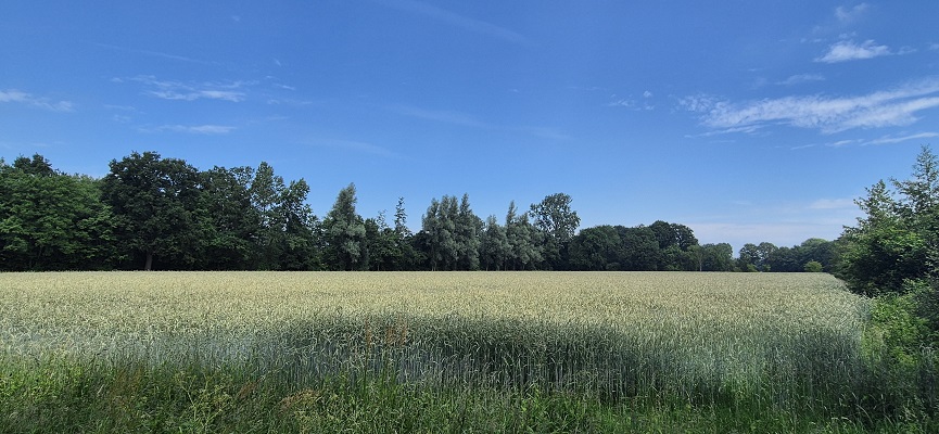 Wandeling over Trage Tocht Zieuwent