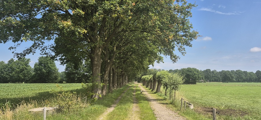 Wandeling over Trage Tocht Zieuwent