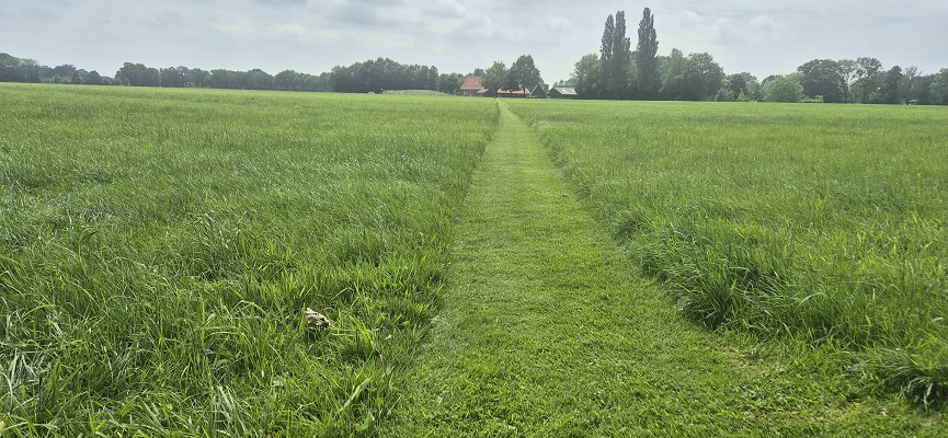 Wandeling over Trage Tocht Zieuwent