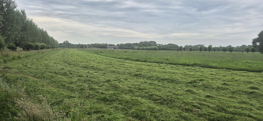 Wandeling over Trage Tocht Zieuwent