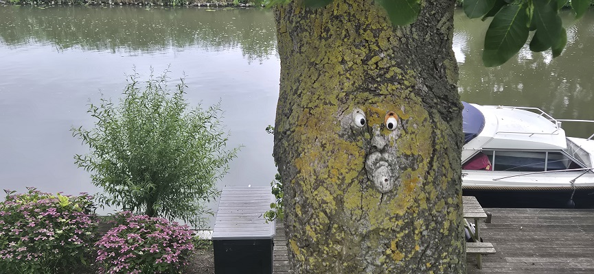 NS-wandeling Linge in Rumpt