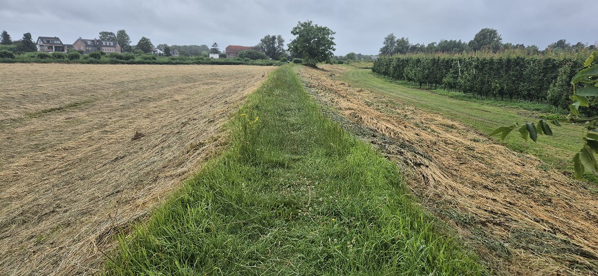 ns-wandeling-linge-16 NS-wandeling Linge