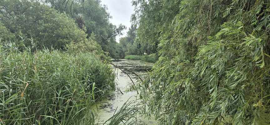 ns-wandeling-linge-17 NS-wandeling Linge