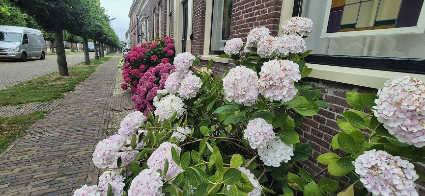 ns-wandeling-linge-4 NS-wandeling Linge bij Beesd