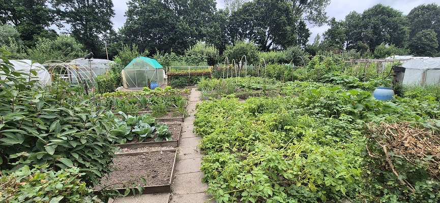 Wandeling over Stadse Trage Tocht Malburgen in Tuinbouwvereniging Elderveld