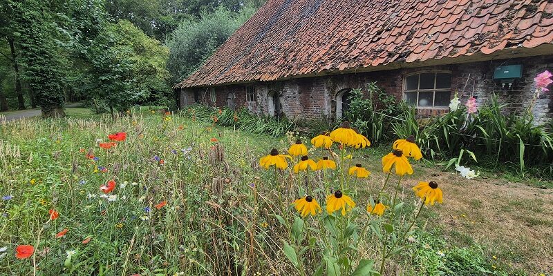 Wandeling over Trage Tocht Beekvliet