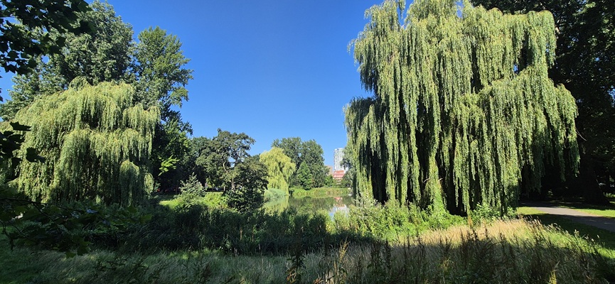 Wandeling over Trage Stadse Tocht Groningen in het Molukkenplantsoen