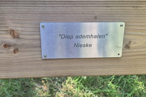 Wandeling over Trage Tocht Haulerwijk in het Blauwe Bos