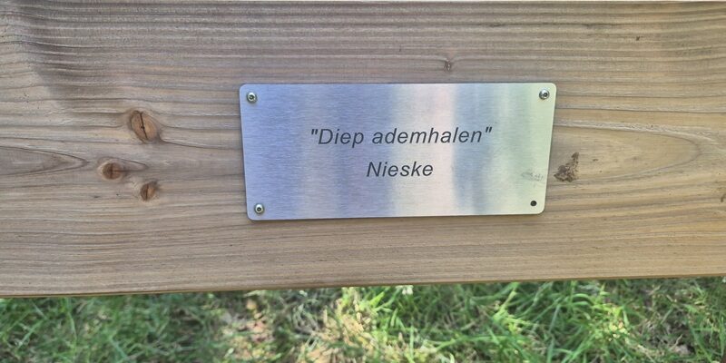 Wandeling over Trage Tocht Haulerwijk in het Blauwe Bos