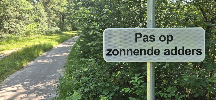 Wandeling over Trage Tocht Haulerwijk in het Blauwe Bos