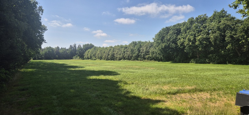 Wandeling over Trage Tocht Haulerwijk in het Blauwe Bos