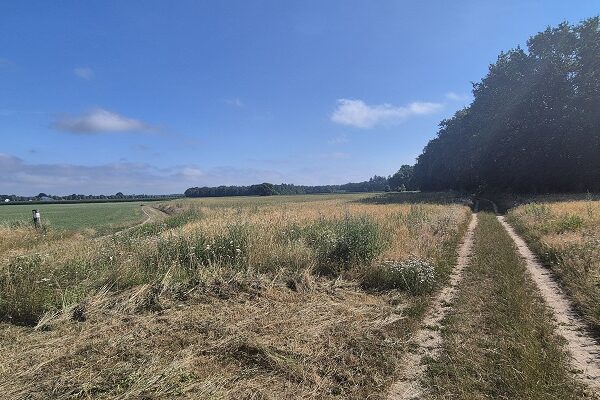 Wandeling over Trage Tocht Hettenheuvel