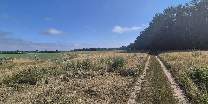 Wandeling over Trage Tocht Hettenheuvel