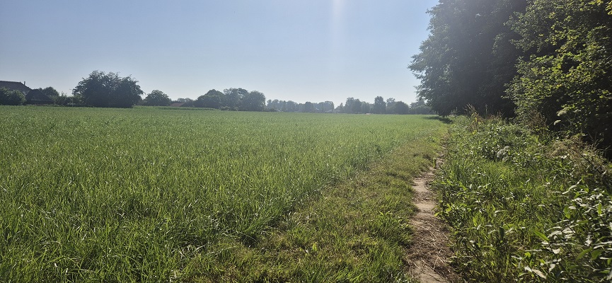 Wandeling over Trage Tocht Hoog-Keppel op landgoed Keppel