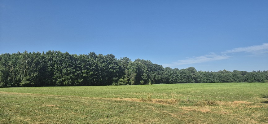 Wandeling over Trage Tocht Hoog-Keppel op landgoed Keppel