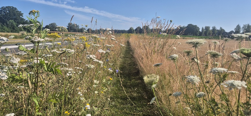 Wandeling over Trage Tocht Hoog-Keppel