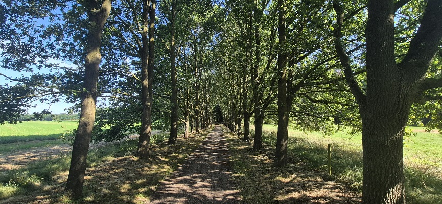 Wandeling over Trage Tocht Hoog-Keppel op landgoed Enghuizen