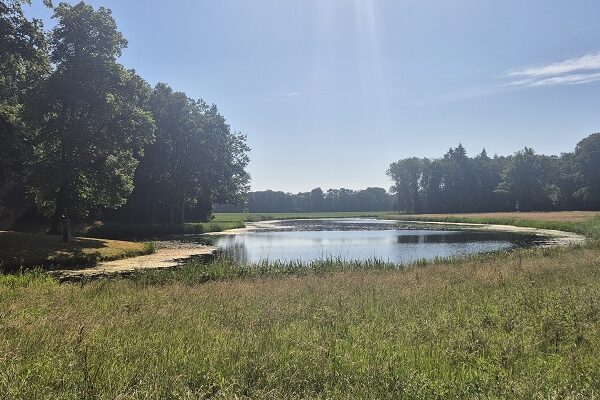 Wandeling over Trage Tocht Hoog-Keppel op landgoed Enghuizen