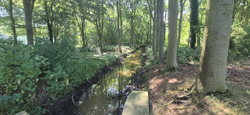 Wandeling over Trage Tocht Hoog-Keppel bij de Hummelose Beek