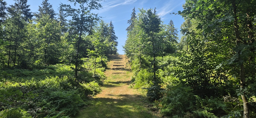 Wandeling over Trage Tocht Hoog-Keppel bij de Wrangebult