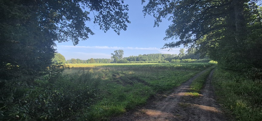 Wandeling over Trage Tocht Hoog-Keppel op landgoed Keppel